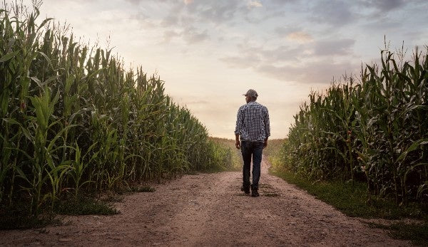 What Every Aussie Farmer Should Know About Blundstone Safety Boots